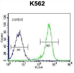 PSTPIP1 Antibody (aa89-118)