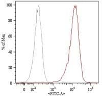 CD105 Antibody (clone MEM-226, FITC)