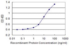 AMID / AIFM2 Antibody (clone 3A11)