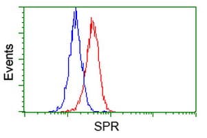 SPR Antibody (clone OTI3D6)