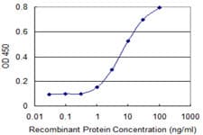 KCNA1 / Kv1.1 Antibody (clone 2D8)