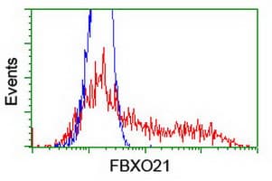 FBXO21 Antibody (clone OTI6E7, Carrier-free)