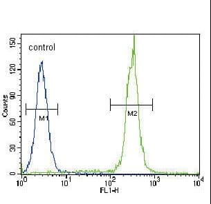 BTC / Betacellulin Antibody (aa17-45)
