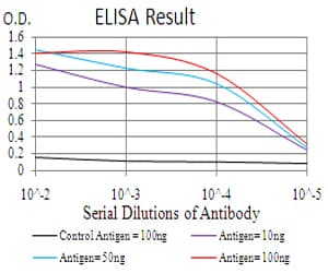 Monoclonal Mouse anti-Human RALA / RAL Antibody (clone 4G8C7, IHC, WB)