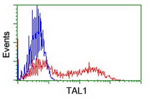 TAL1 Antibody (clone OTI4G10, Carrier-free)