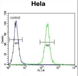 IGF2 Antibody (aa39-68)