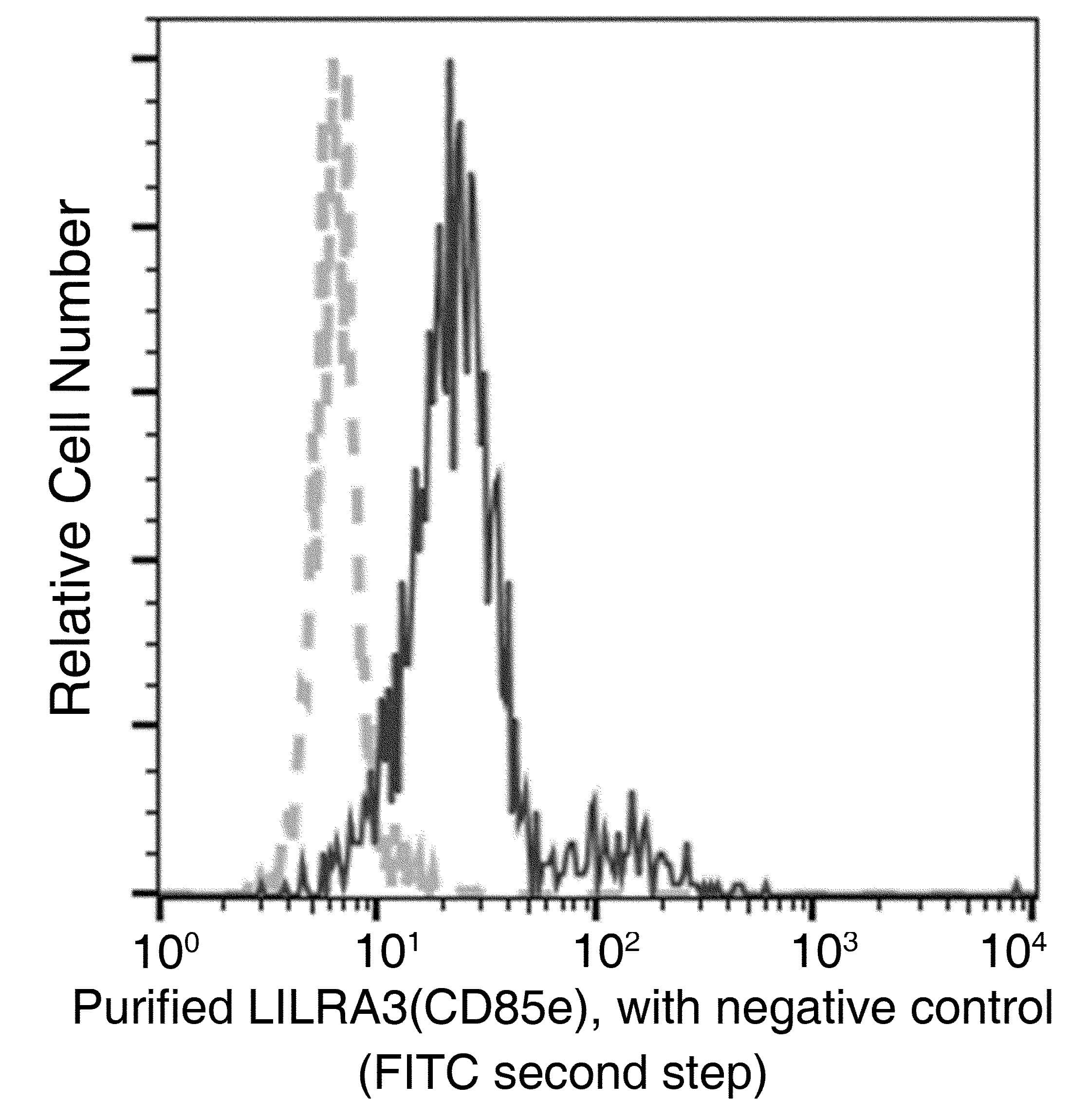 Monoclonal Rabbit anti-Human LILRA3 / CD85e Antibody (clone 060, Preservative Free)