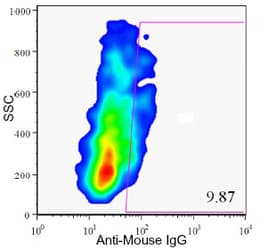 Pancreas Marker HPa1 Antibody (clone DHIC2-2C12)