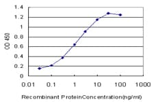 IHC-plus™ Monoclonal Mouse anti-Human MYH9 Antibody (clone 4H3, IHC, IF, WB)