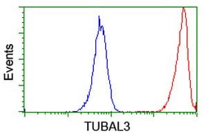 TUBAL3 Antibody (aa150-446, clone OTI1G6, Carrier-free)