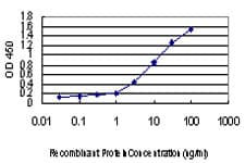 IKBKAP / IKAP Antibody (clone 6G9)