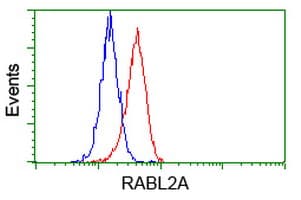 RABL2A Antibody (clone OTI4A8)