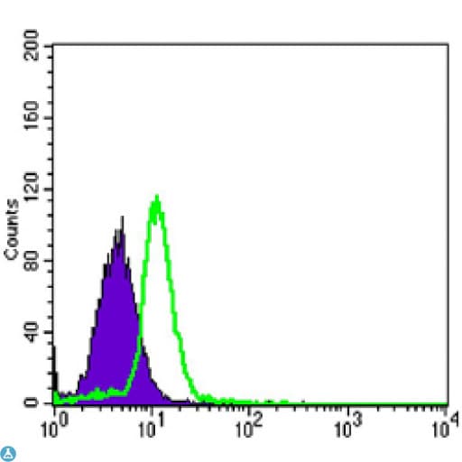 OPG / Osteoprotegerin Antibody