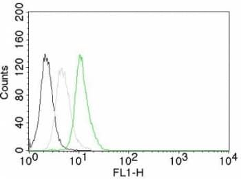 CCND1 / Cyclin D1 Antibody (clone CCND1/809)