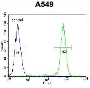 ANAPC5 / APC5 Antibody (aa156-185)