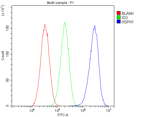 Polyclonal Rabbit anti-Human HSPH1 / HSP105 Antibody (IHC, WB)