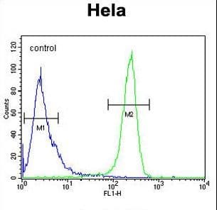 DTL / CDT2 Antibody (aa229-256)