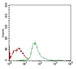 SYCP3 / SCP3 Antibody (aa1-200, clone 6F9C5)