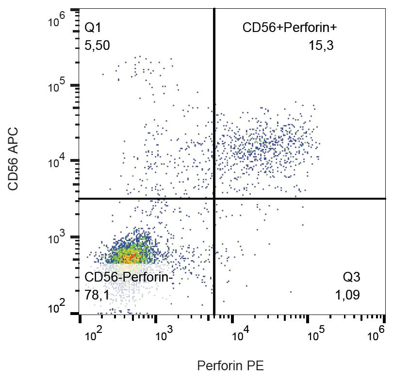 Monoclonal Mouse anti-Human PRF1 / Perforin Antibody (clone dG9, PE, IHC)