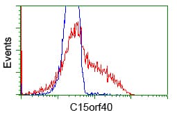 C15orf40 Antibody (clone OTI2B7)