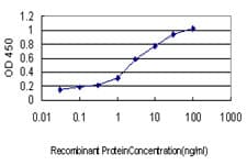 NBL1 / DAN Antibody (clone 2G4)