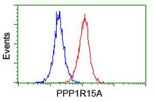 PPP1R15A / GADD34 Antibody (clone OTI1E1)