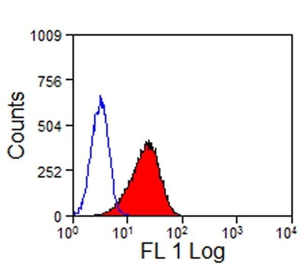 Monoclonal Rat anti-Mouse TIMELESS Antibody (clone RMT2-25, FITC)