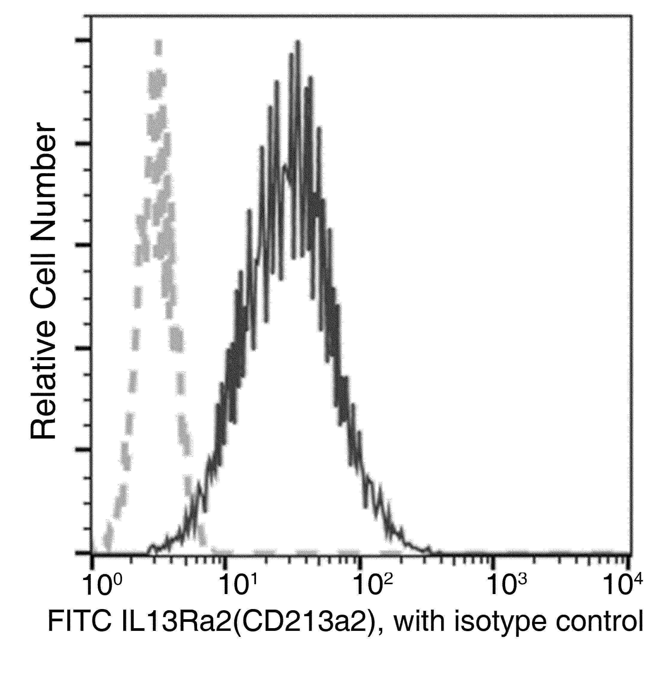 IL13RA2 / IL13R Alpha 2 Antibody (clone 018, FITC)