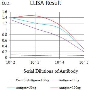 Monoclonal Mouse anti-Human CD275 / B7-H2 / ICOS Ligand Antibody (clone 1G6E1, WB)