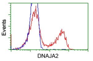DNAJA2 Antibody (clone OTI3A1)