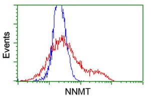 IHC-plus™ NNMT Antibody (clone 2A3)