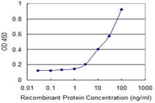 Monoclonal Mouse anti-Human SSR2 Antibody (clone 4C1, IF, WB)