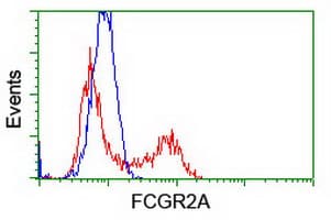FCGR2 / CD32 Antibody (clone OTI13G9)
