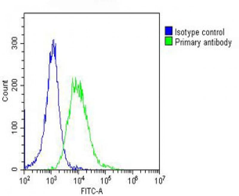 HSPD1 / HSP60 Antibody