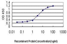 IHC-plus™ ITGA7 / Integrin Alpha 7 Antibody (clone 8G2)