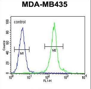 IL12B / IL12 p40 Antibody (aa264-290)
