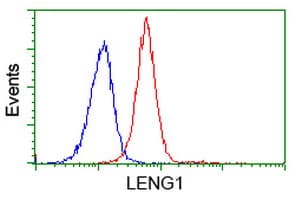 LENG1 Antibody (clone OTI1G5)