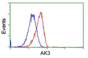 AK3 / Adenylate Kinase 3 Antibody (clone OTI4C4)