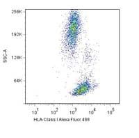 HLA-A/B/C Antibody (clone W6/32)