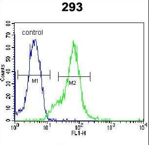 Polyclonal Rabbit anti-Human LGALS9B Antibody (aa160-188, WB)