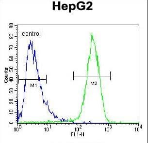 IHC-plus™ HEXA Antibody (aa142-170)
