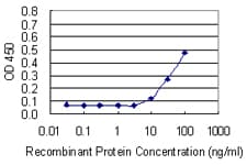 THY1 / CD90 Antibody (clone 3F9)