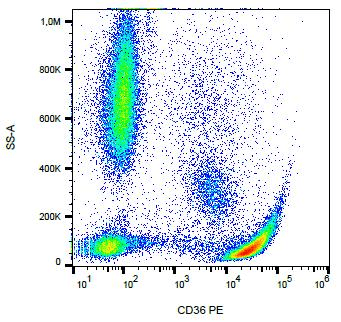 CD36 Antibody (clone CB38 (NL07), PE)