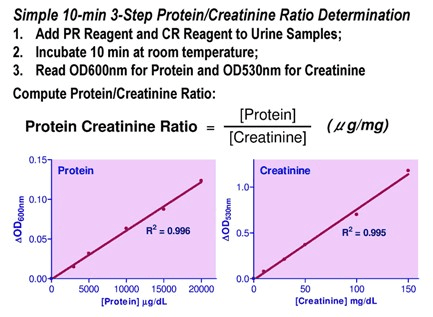 Protein Creatinine Ratio (PCR) Assay Kit (Colorimetric)
