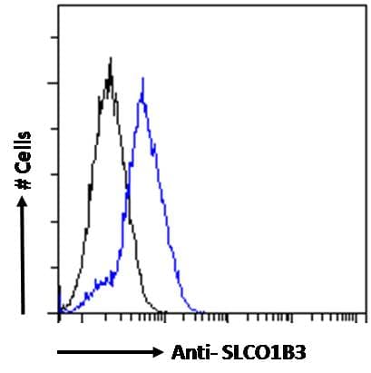 SLCO1B3 / OATP8 Antibody (aa151-161)