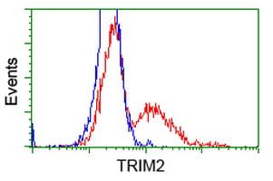 KIAA0517 / TRIM2 Antibody (clone OTI1D2)