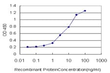 HSPB1 / HSP27 Antibody (clone 3G3)