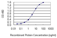 AIF1 / IBA1 Antibody (clone 2A2-B6)