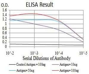 NAA10 / ARD1A Antibody (clone 3G3B9)