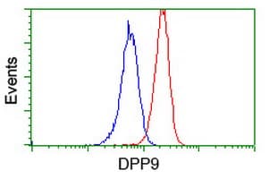 IHC-plus™ DPP9 Antibody (clone 4H8)